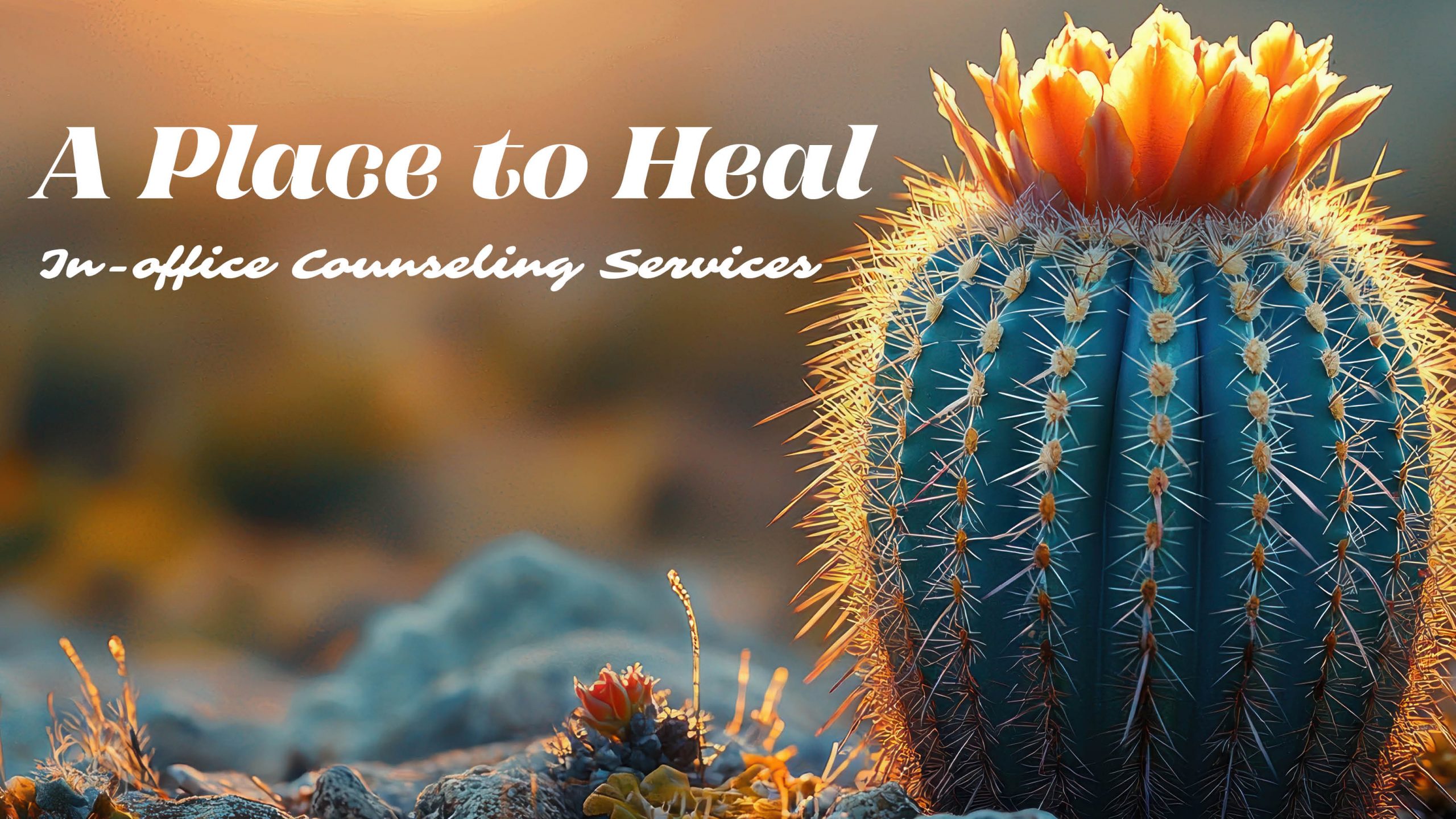 A Place to Heal: In-office Counseling Services